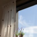 스테이다정 | 제주 동쪽 감성 숙소 안김녕스테이 에서 울 뻔한 후기