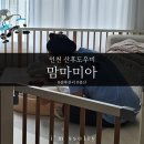 [소성부부] 인천 산후도우미 맘마미아 후기