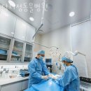 닥터정 동물병원 네이버블로그