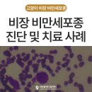 밀양동물메디컬센터 | 종양으로 인한 흉수와 호흡곤란, 고양이 비만세포종양 진단과 치료 사례 – 에스동물메디컬센터 양산점