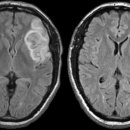 안산감동한의원 이미지