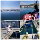 심천민물매운탕 | [중국 노잼 탈출] 남중국에서 낚시해서 배 터지게 먹어 보자 (좌대 낚시, 가두리 낚시, 선상 낚시)