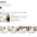 W. at포레 본식 DVD 코지레코드 계약후기 추천인코드 할인