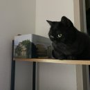 장덕고개 | 9월의 영써티 1