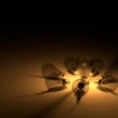 화곡1동주민센터 이미지