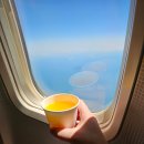 제주공항 대한항공 라운지, 국내선 비지니스석 후기