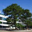 해남군치매안심센터 이미지