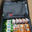 태국2019 VIV 축산박람회 후기(20190312~0316)