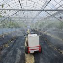 시흥시농업기술센터 이미지