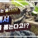 해인아쿠아마린&정글