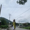 노디목민박 네이버블로그
