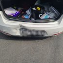 뉴스카이모터스 이미지