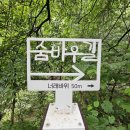 제29회 정기산행_ 2026년 07월 25일(토), 정선 항골계곡 숨바우길 트레킹 이미지