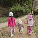 작은숲  어린이집 이미지