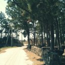 모모마트 이미지