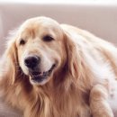 은계동물병원 이미지