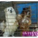 봄뜰에농장 이미지