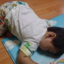 우리집 똥강아쥐 이미지