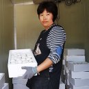 부여양송이마을 티스토리