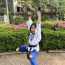 용인대 동양합기도 이미지