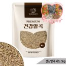 블루씨드