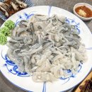 청춘회 물회 | 대구 동구 각산동 청춘회물회 모듬회 물회 혁신도시 맛집 내돈내산 솔직 후기