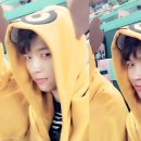우쭈쭈
