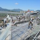 가조면-39 이미지