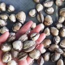 해주푸드 이미지