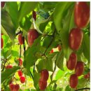 동해황토민박펜션 이미지