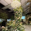 그랑포레 | 안동 그랜드호텔 웨딩홀 가봤다! 라스텔라 가든홀 vs 그랑포레홀 솔직 비교 후기