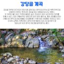 24년 8월 3일(토) 여름 아산계곡여행 & 시골시장투어 이미지