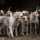 종식농장 이미지