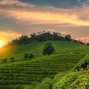 바다와 함께하는 곳 이미지