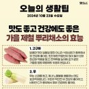 10월 23일 수요일 간추린 뉴스와 날씨 이미지