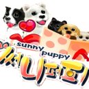 써니퍼피 이미지