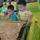 왓쥬