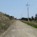 동광리-2 이미지