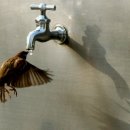 참새공원 공중화장실 이미지