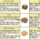 몸에좋은것들 이미지