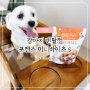 강아지 덴탈껌 | 덴티페어리 미니바이츠 내돈내산 후기
