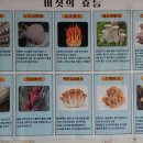 매향민박 | 서산 여행- 백제의미소. 미스터선샤인촬영지.