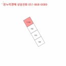 사파동117 이미지