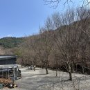 가평 캠프1975 B2사이트 : 초보캠퍼의 두번째 캠핑