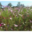 우천축산 이미지