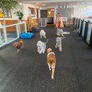 모노모노몽 이미지