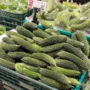 여주-0205 이미지