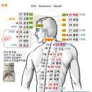 팔맥교회혈(八脈交會穴), 기경팔맥 (奇經八脈) 이미지