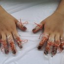 봉숭아물 이미지