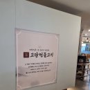 센텀동로 | 부산 센텀 맛집 고담현불고기 추천 숯불불고기 가족외식 후기